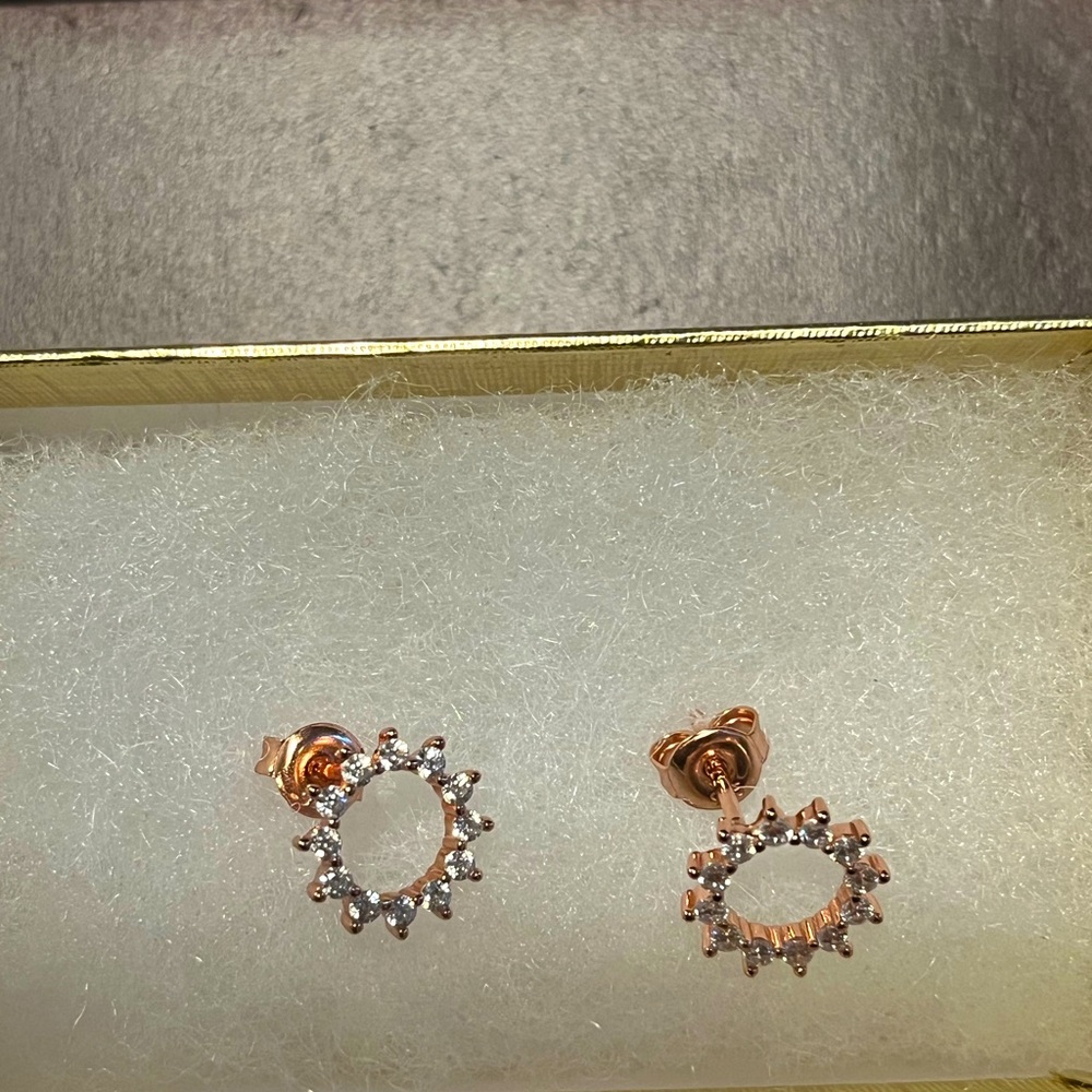 Rose gold earrings
